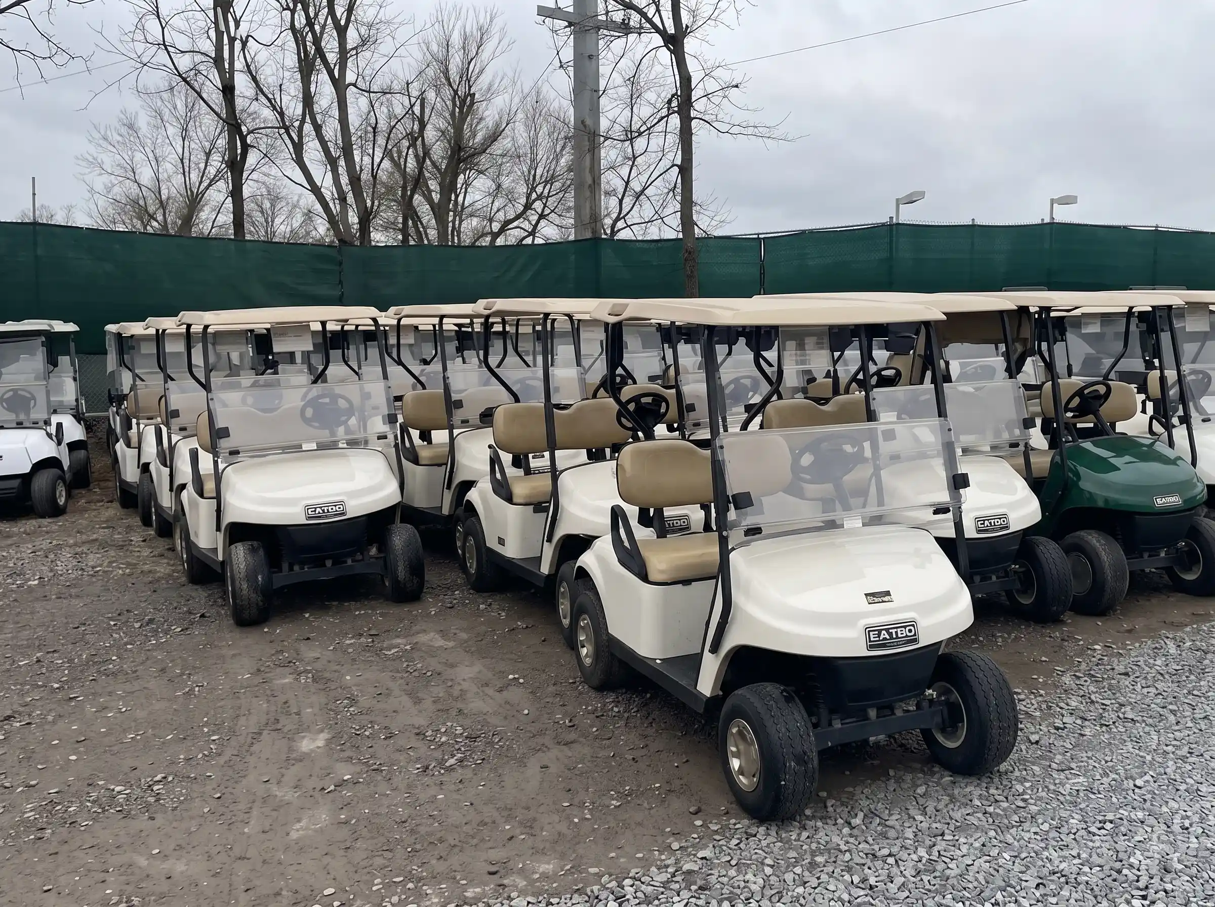 Golf cart lithium battery project