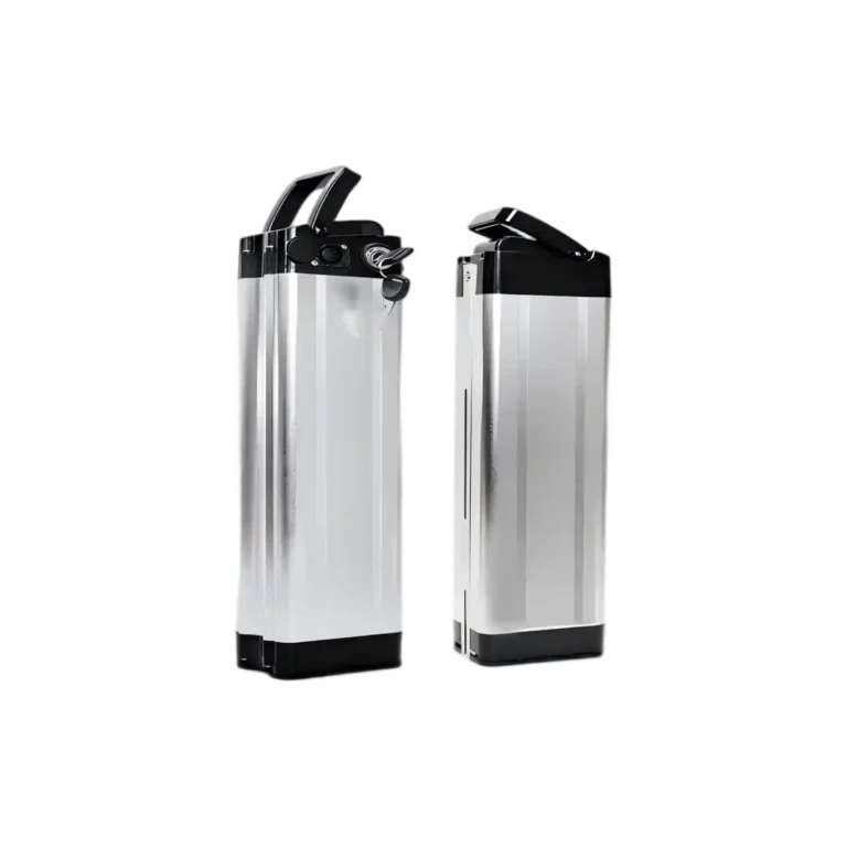 ZD36V30Ah 3C OEM Silver Fish Lithium E-Bike Battery Pack